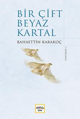 Bir Çift Beyaz Kartal (Ciltli)