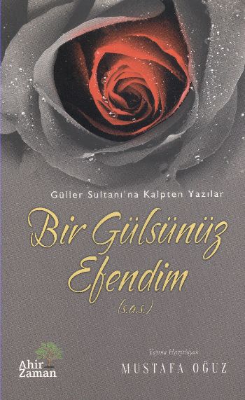 Bir Gülsünüz Efendimiz