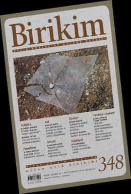 Birikim Aylık Sosyalist Kültür Dergisi Sayı - 348 Nisan 2018 Kolektif