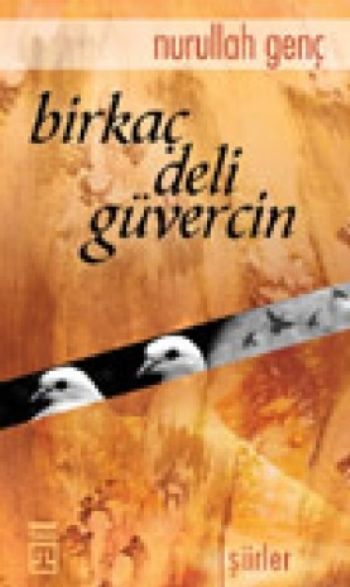 Birkaç Deli Güvercin %17 indirimli Nurullah Genç