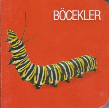 Böcekler