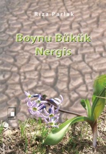 Boynu Bükük Nergis