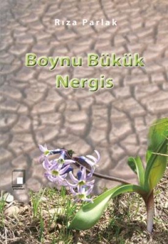 Boynu Bükük Nergis