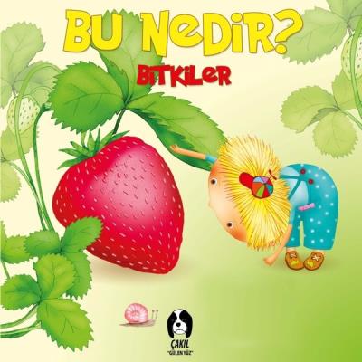 Bu Nedir Bitkiler (Ciltli) Kolektif