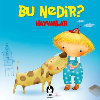 Bu Nedir Hayvanlar (Ciltli) Kolektif