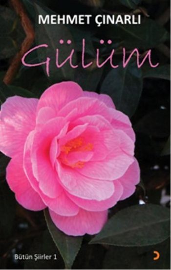 Bütün Şiirler 1 Gülüm