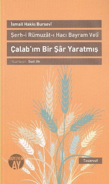 Çalabım Bir Şar Yaratmış