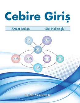 Cebire Giriş Sait Halıcıoğlu