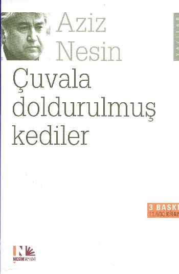 Çuvala Doldurulmuş Kediler %17 indirimli Ali Nesin