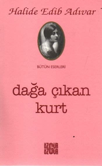 Dağa Çıkan Kurt