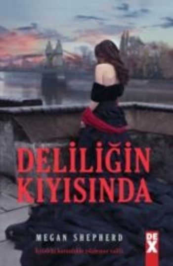 Deliliğin Kıyısında