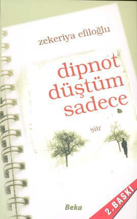 Dipnot Düştüm Sadece