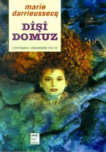 Dişi Domuz