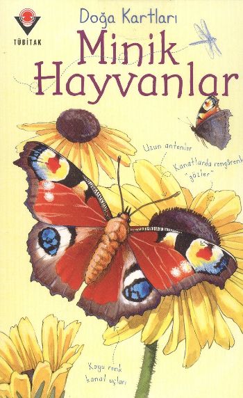 Doğa Kartları - Minik Hayvanlar %17 indirimli Emily Bon