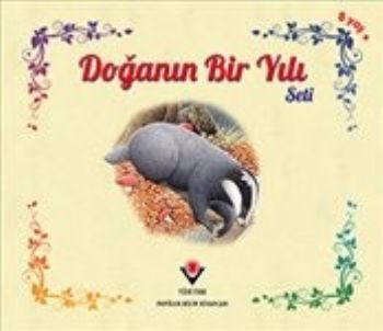 Doğanın Bir Yılı Seti