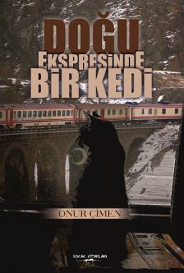 Doğu Ekspresinde Bir kedi