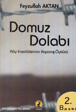 Domuz Dolabı