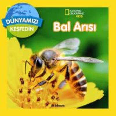 Dünyamızı Keşfedin Bal Arısı