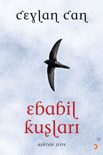 Ebabil Kuşları Aşktan Şiire
