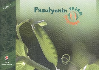 Fasulyenin Yaşam Döngüsü %17 indirimli David M.Schwartz