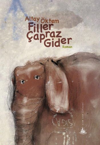 Filler Çapraz Gider %17 indirimli Altay Öktem