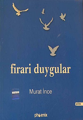 Firari Duygular %17 indirimli Murta İnce