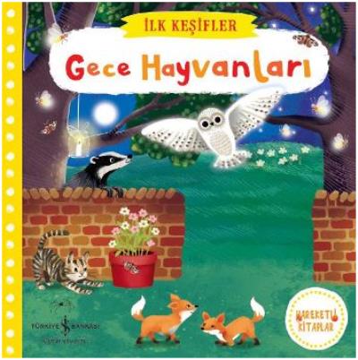 Gece Hayvanları - İlk Keşifler