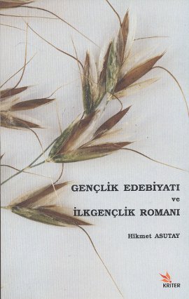 Gençlik Edebiyatı ve İlkgençlik Romanı