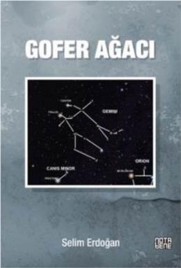 Gofer Ağacı