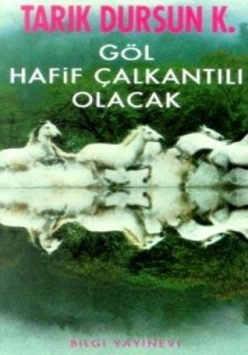 Göl Hafif Çalkantılı Olacak