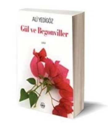 Gül ve Begonviller