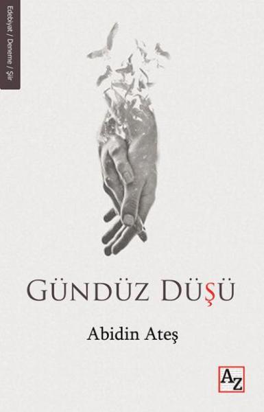 Gündüz Düşü Abidin Ateş