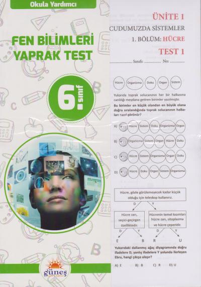 Güneş 6. Sınıf Fen Bilimleri Yaprak Test