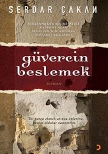 Güvercin Beslemek