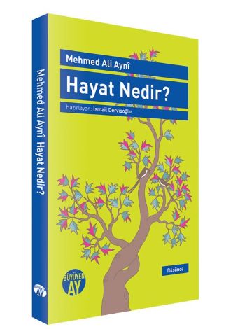 Hayat Nedir Mehmed Ali Ayni