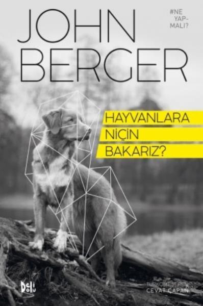 Hayvanlara Niçin Bakarız John Berger