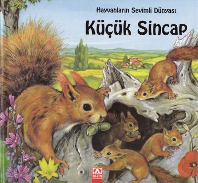 Hayvanların Sevimli Dünyası Küçük Sincap (Ciltli) Marie Duval