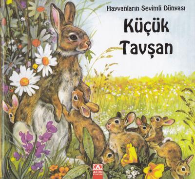 Hayvanların Sevimli Dünyası Küçük Tavşan (Ciltli) Marie Duval