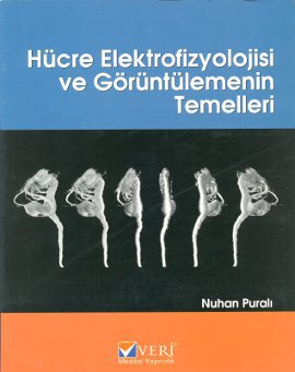 Hücre Elektrofizyolojisi ve Görüntülemenin Temelle