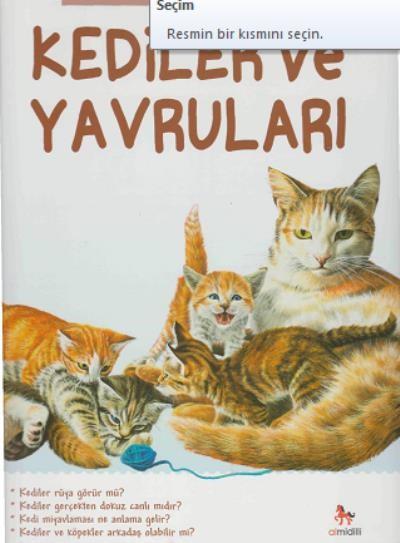 İlk Sorular ve Cevaplarla Kediler ve Yavruları