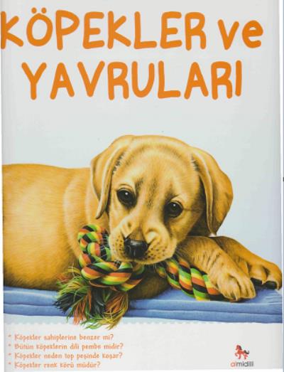 İlk Sorular ve Cevaplarla Köpekler ve Yavruları Camilla de la Bedoyere