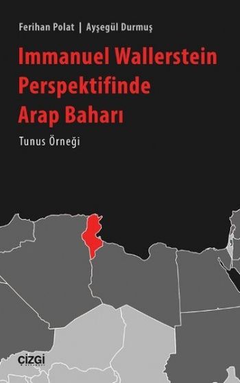 Immanuel Wallerstein Perspektifinde Arap Baharı - Tunus Örneği