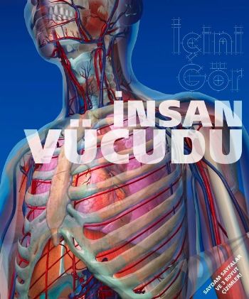 İnsan Vücudu "İçini Gör"