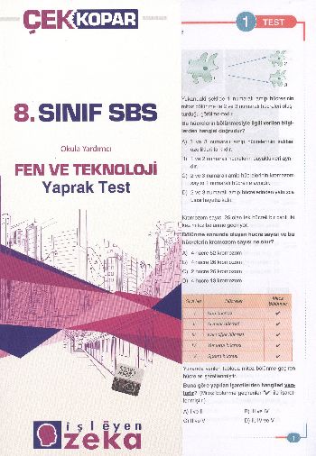 İşleyen Zeka 8. Sınıf Fen ve Teknoloji Yaprak Test