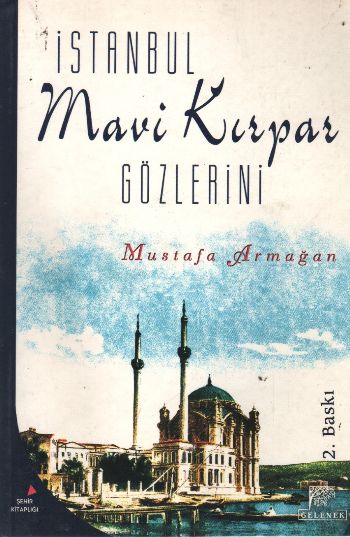 İstanbul Mavi Kırpar Gözlerini Mustafa Armağan
