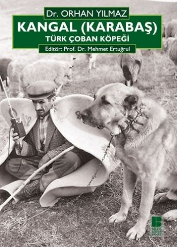 Kangal (Karabaş)-Türk Çoban Köpeği %17 indirimli Orhan Yılmaz