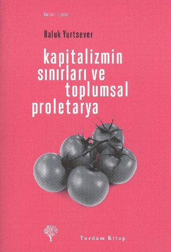 Kapitalizmin Sınırları ve Toplumsal Proletarya %17 indirimli Haluk Yur