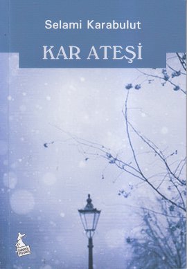 Kar Ateşi Aydın Şimşek