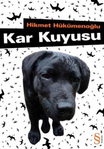 Kar Kuyusu