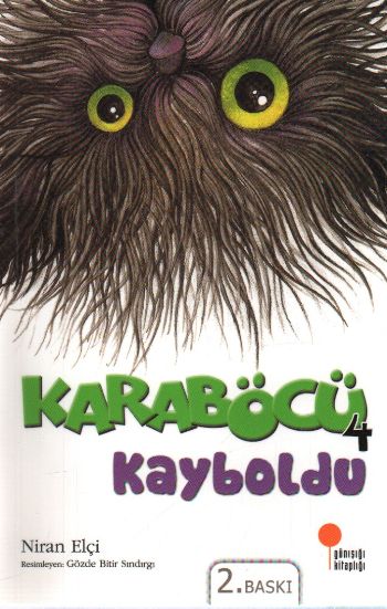 Karaböcü Dizisi-4: Karaböcü Kayboldu